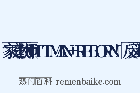 家庭教师HITMAN+REBORN!反义词是什么意思的图片